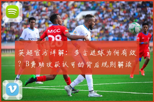 英超官方详解：多古进球为何有效？B费助攻获认可的背后规则解读
